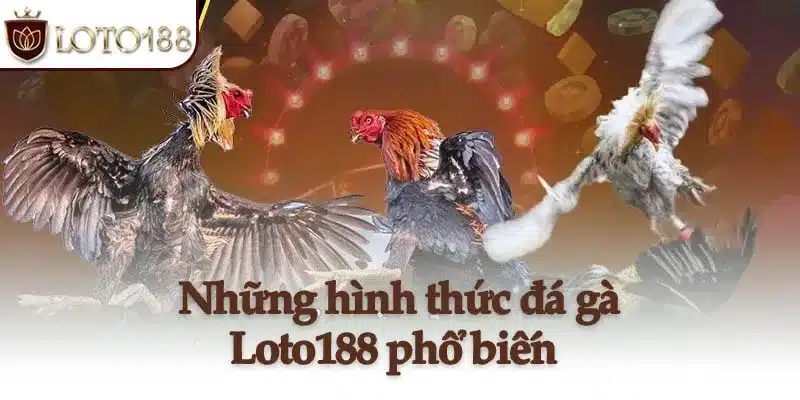 Những hình thức đá gà Loto188 phổ biến