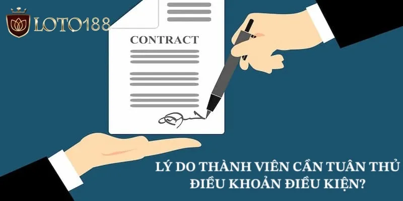 Lý do bạn nên tuân thủ quy định tại nhà cái Loto188