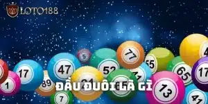 Đầu Đuôi Là Gì